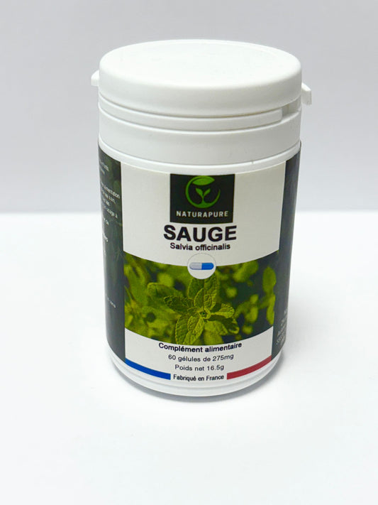 Sauge