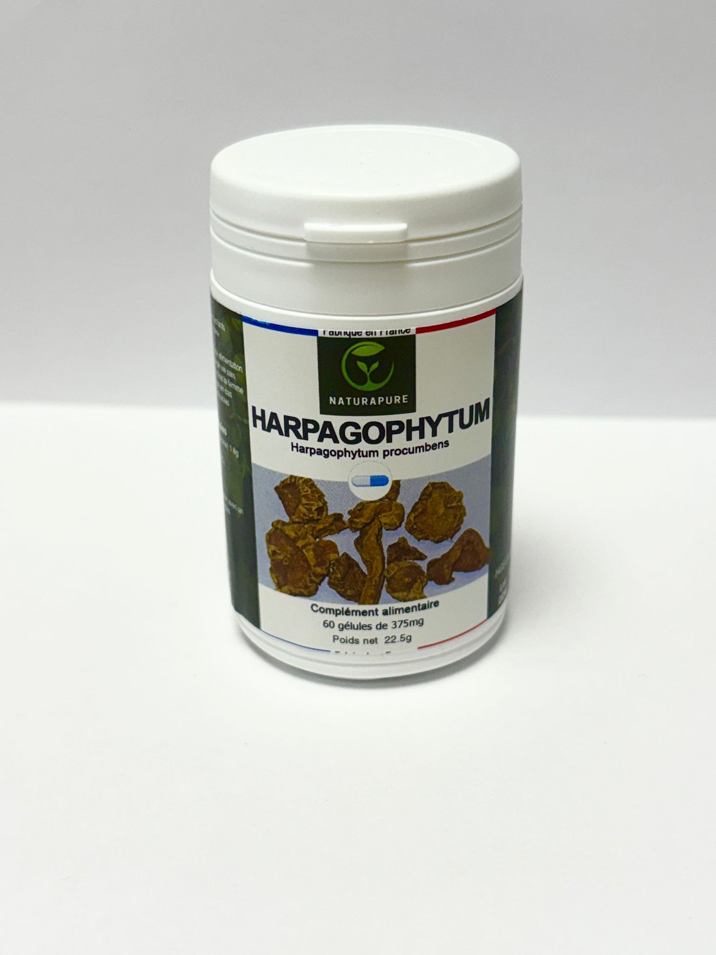 Harpagophytum procumbens