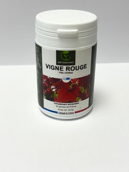 VIGNE ROUGE – Vitis vinifera