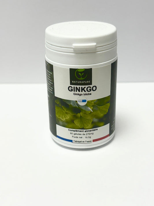 GINKGO – Ginkgo biloba