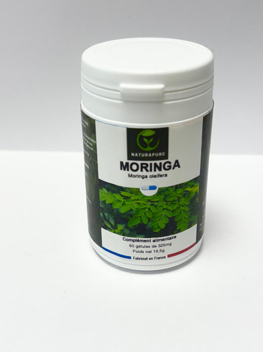 MORINGA – Moringa oleifera