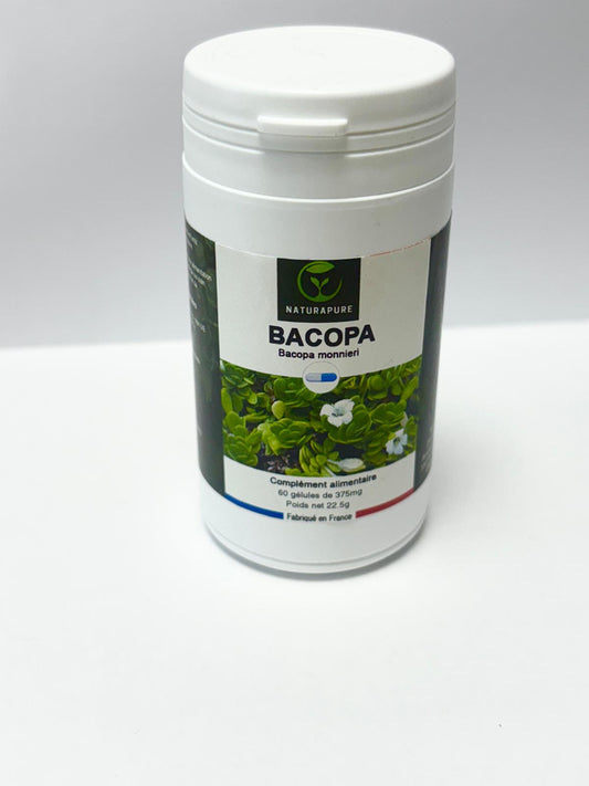 BACOPA – Bacopa monnieri